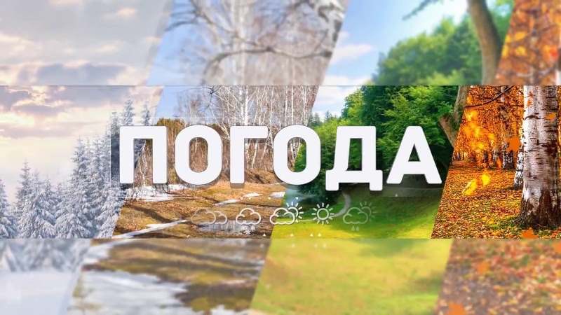 Прогноз погоды.