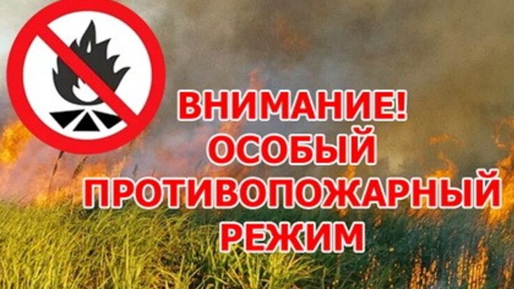 За нарушение противопожарного режима в лесах саратовцы заплатят штраф  ⛔️С 27 апреля в лесах региона введен особый противопожарный режим. Он накладывает ряд ограничений. Например, запрещено въезжать в лес на транспорте, пользоваться открытым огнем..