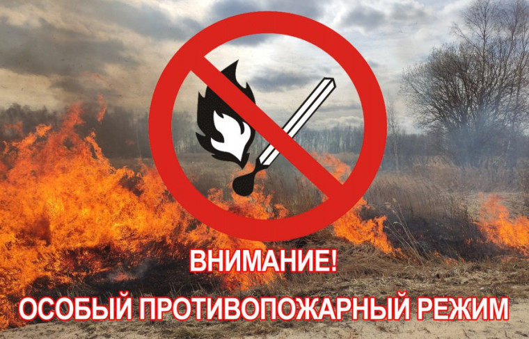 На территории Саратовской области продолжает действовать особый противопожарный режим.