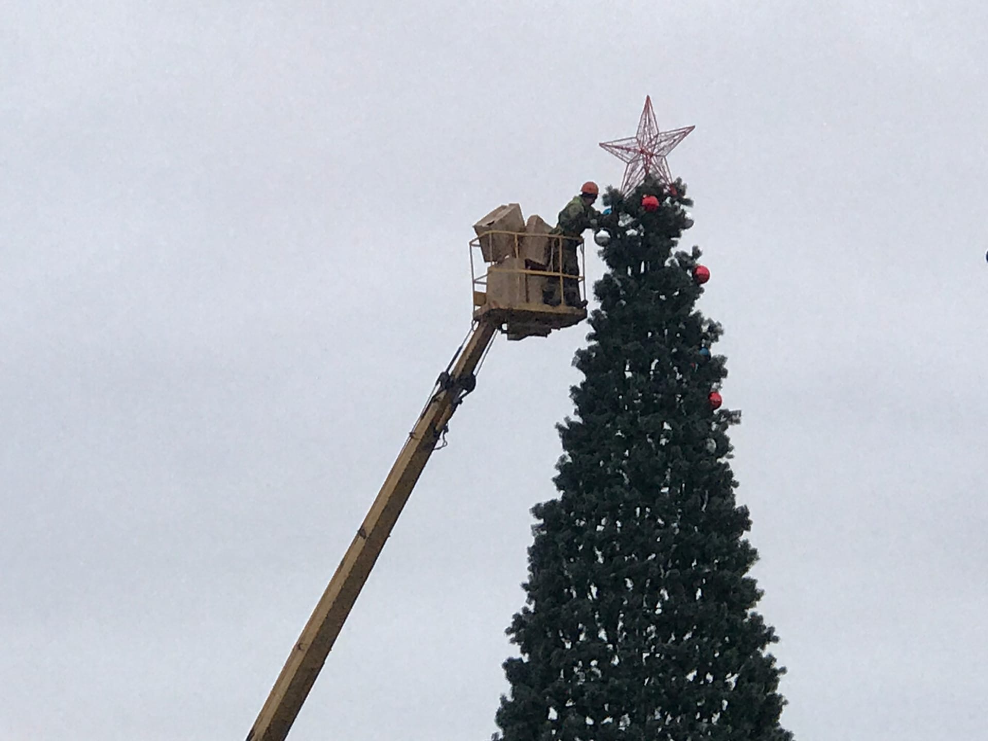 🎄В Саратовской области начали устанавливать новогодние ёлки.