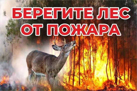 Осторожно, огонь! Жителям региона напомнили о рисках возникновения лесных пожаров!.