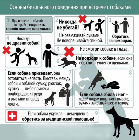 Администрация Марксовского муниципального района информирует жителей о недопущение нарушений правил содержания домашних животных. Администрация Марксовского муниципального района информирует жителей о недопущение нарушений правил содержания домашних животных.